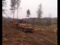 woods1.wmv