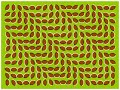Illusioni Ottiche by Ivans Illusioni Ottiche by Ivans