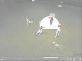 Mabinogi - Random rabbie run
