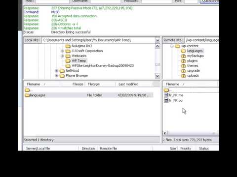 how to change wordpress language