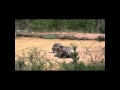 Dulary & Misty's First Swim of the Season 2012