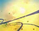 Dynamie Studios | motion graphics: Stoller Dynamie Studios | motion graphics: Stoller