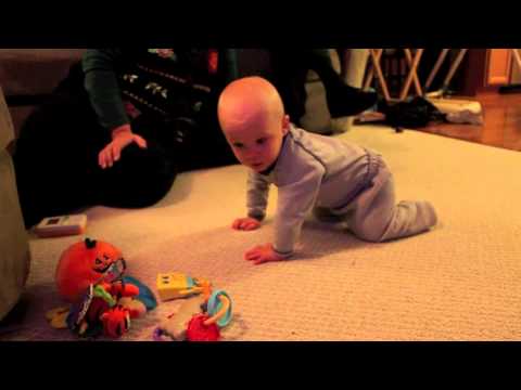 0 Little Bean is Sorta Crawling! [video] 
