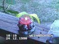 See video