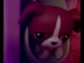 lps csi ep 1 part 1