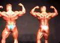 What-a-Bodybuilding-