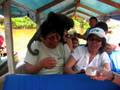 iquitos 2208