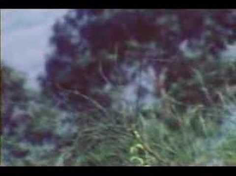 Duo Andahuaylas - Talaverinita