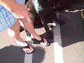 Guide Dog Puppy in Training