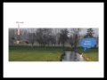 reigers