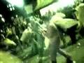 Assistir ao v�deo