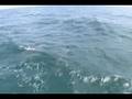 Sailing the Belize Cayes with the 1/26 Marines