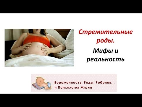 Курение будущего отца несёт непоправимый вред его потомству Куда попадают животные после смерти? Оси мира
