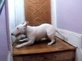 Getting home is exciting...