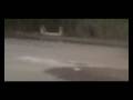 videos de More ryobi boat