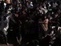 JALLIKATTU: extreme wild bull taming