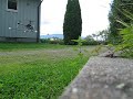 T-rex 450 hover T-rex 450 hover