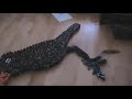 2nd B&W Domino Productions video