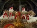 The Muppet Chickens sing Baby Face