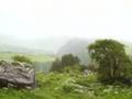 Valley of Flowers - Uttaranchal - India