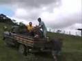 Voo Livre Parapente Bahia