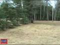 Maine Vacation Getaway Home On 2 Acres Near Many Lakes For Sale! #7718