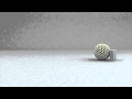 dust ball