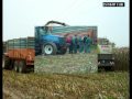 ensilage eta boivin