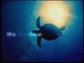 \"ONE WORLD With Olivia Newton-John: In the Struggle for Life