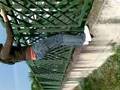 videos de spider edera