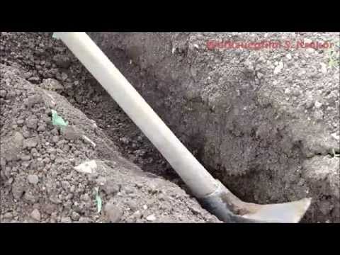 Kreuzhacke / Spitzhacke mieten bei Rentas