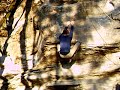 Bouldern, Allgäu, 6c/7a Bouldern, Allgäu, 6c/7a