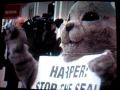 PETA Newfoundland Seal Hunt Protest