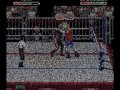 just me playing a few more games this time some old wwe ones. just some gameplay from each. the games included are: wrestlemania (nes) king of the ring (nes) steel cage challenge (nes) super wrestlemania (snes) royal rumble (snes) raw (snes) wrestlemania the arcade game (snes) war zone (n64) attitude (n64) wm 2000 (n64) no mercy (n64)