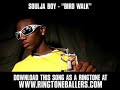 Soulja Boy - Bird Walk [New Video + REAL LYRICS!]