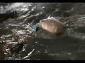 TSUNAMI Phuket New Video - Catastrofe in diretta