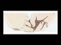 videos de Sasu -X- Naru ~ The world has it's shine!