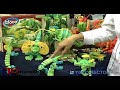 Bloco-LizardsChameleons.