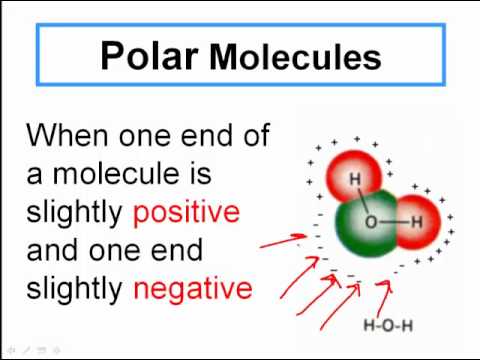 how to determine if a molecule is polar