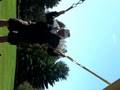 videos de J-Rod on Bungee Trampoline