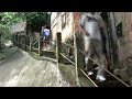 Mc Didô_Favela on Blast (movie)