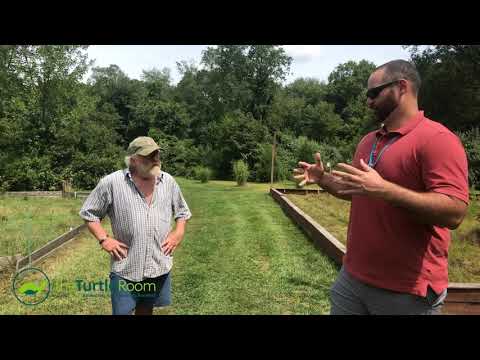 YouTube reptile video