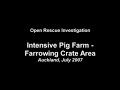 Pig farm horrors exposed