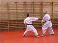 Shito Ryu Kata