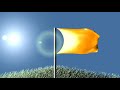 Flag in wind Flag in wind