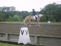 Dressage At Addington