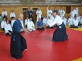 aikido gedan tsuki aikido gedan tsuki