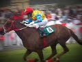 horseracing the sport of kings!!!