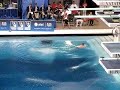 Troy Dumais 107b: Olympic Diving Trials - Men\ Troy Dumais 107b: Olympic Diving Trials - Men\