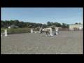 Horse Care & Riding : How to Canter Your Horse